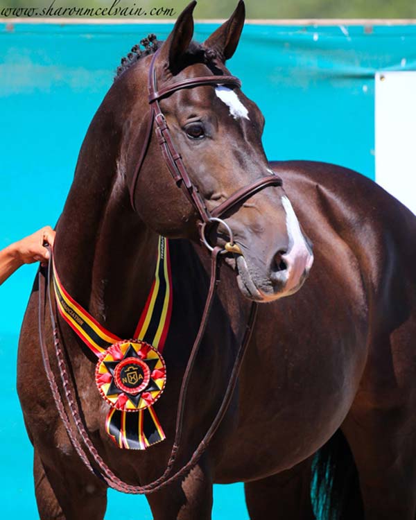 cesars crack portrait