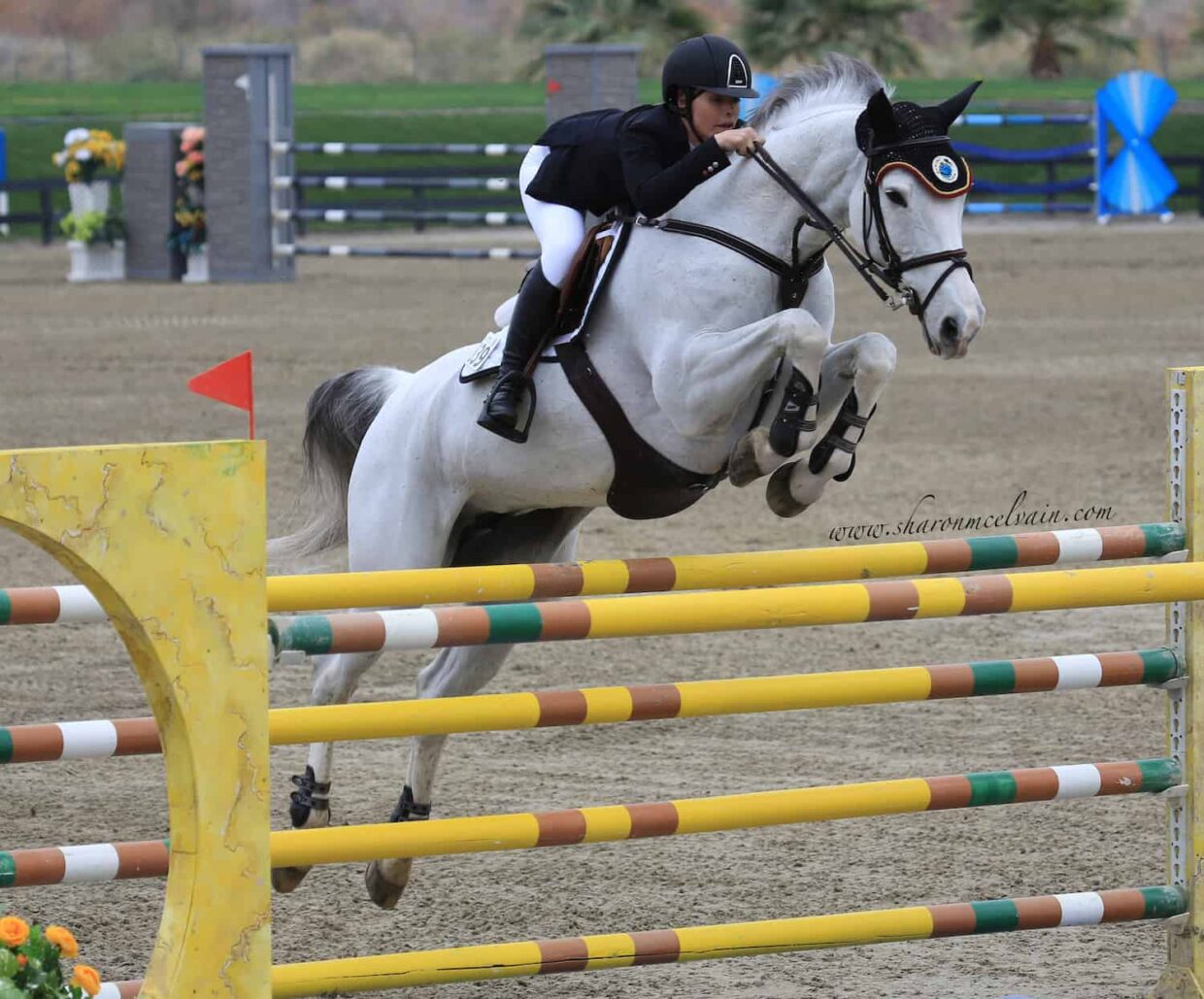 katie riddle rancho corazon