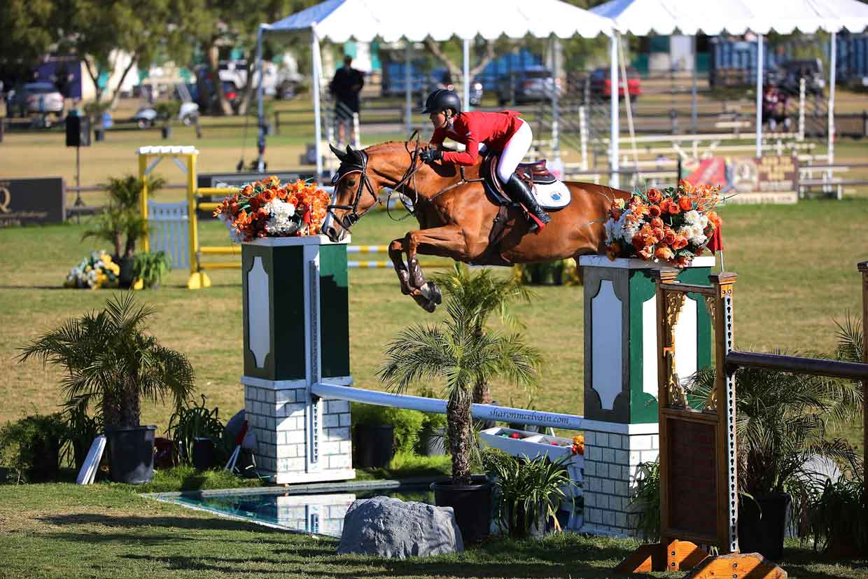 chenoa mcelvain jumping a bay holsteiner