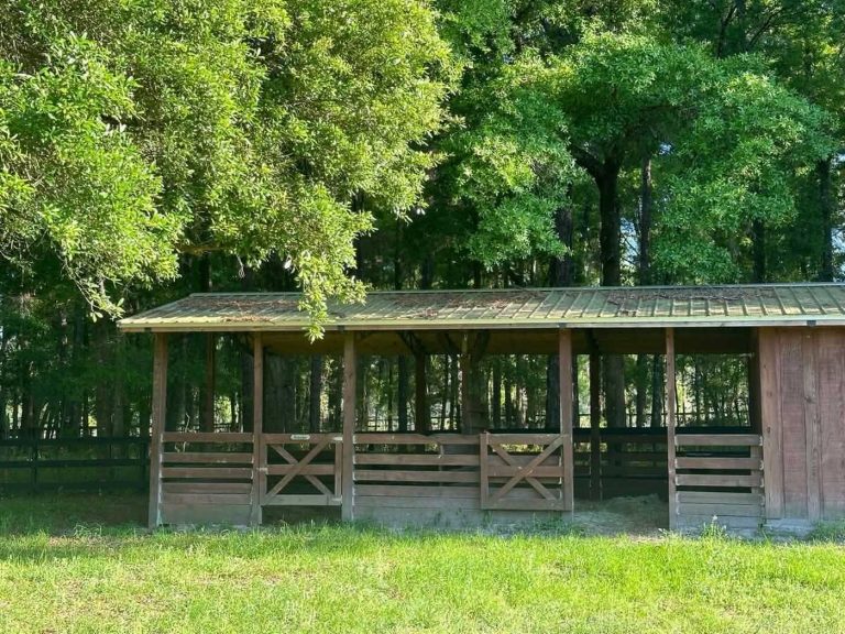 stables at rc ocala
